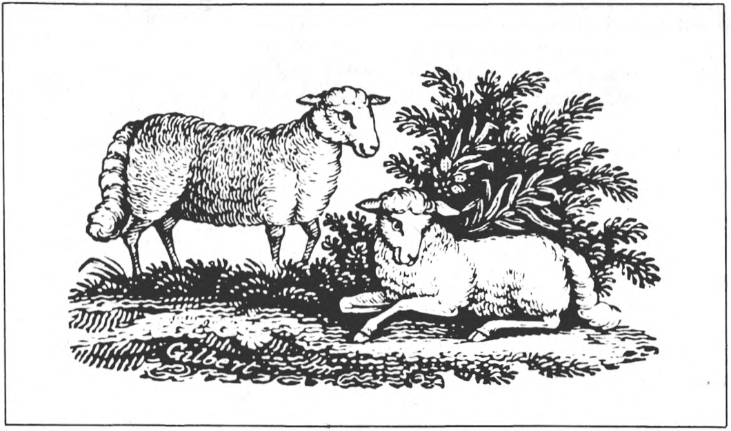 Long Island Larder Lamb With Peppercorns and Lamb Pastitcio The East